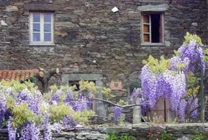 Casa Pousadoira Country house *
